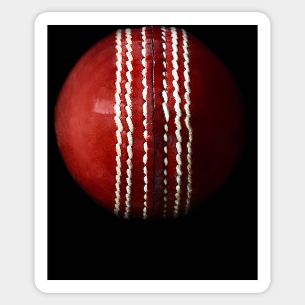 Cricket Ball Sticker by adrianbrockwell